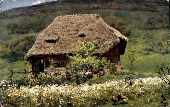 Künstler Ak Hoffmann, H., Alte Mühle im Schwarzwald, Wassermühle, Hühner