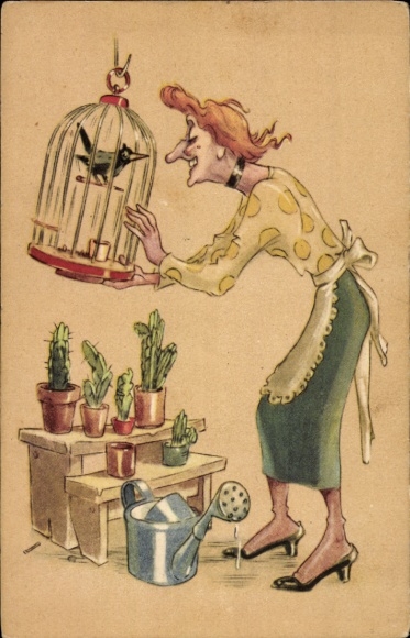 Ak Oude Vrouw, Vogelkooi, Cactussen