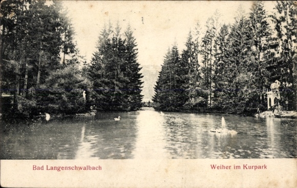 Postcard Langenschwalbach Bad Schwalbach im Taunus, pond in the spa park, forest landscape, ducks in the water