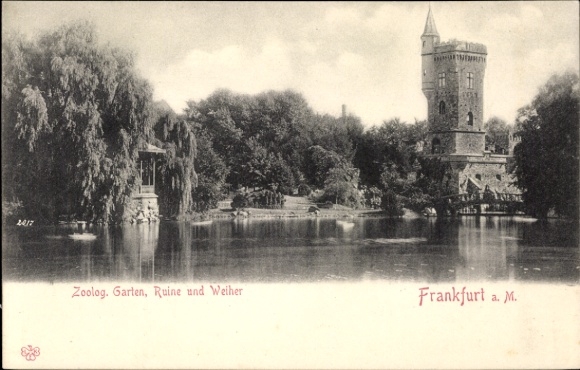 Ak Frankfurt am Main, Zoologischer Garten, ruïne, vijver, toren