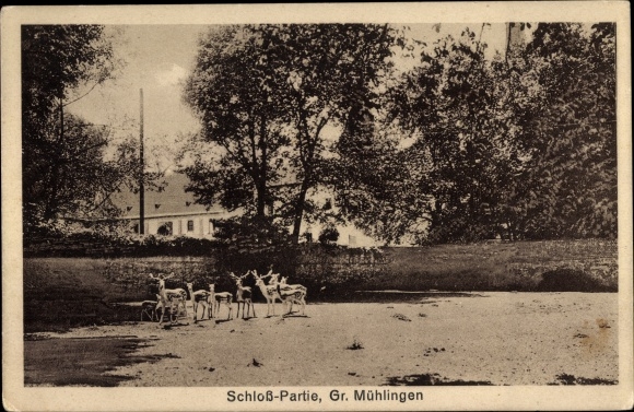 KP Großmühlingen Bördeland w Saksonii Anhalt, zamek, park