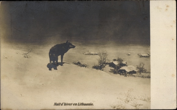 Postcard Lithuania, Nuit d&#39;hiver, Wolf, Winterszene