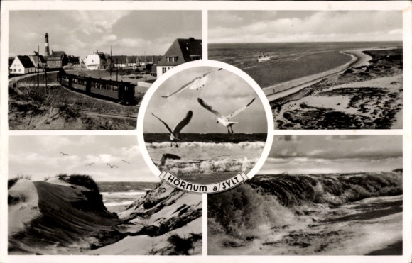 Postcard Hörnum on Sylt North Frisia, beach, dunes, seagulls, town, lighthouse