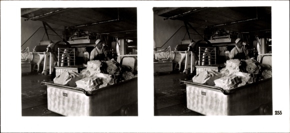 Stereo Raumbild Foto "Die NS Musterbetriebe 1937-38", Nr. 255 Teutoburger Margarinewerke Hilter