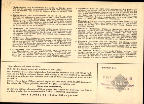 Timetable BIOX fluoride toothpaste. Dental care, wild berries, rose hips, raspberries around 1950