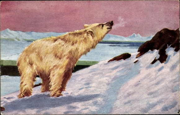 Artist Postcard Eisbär im Schnee