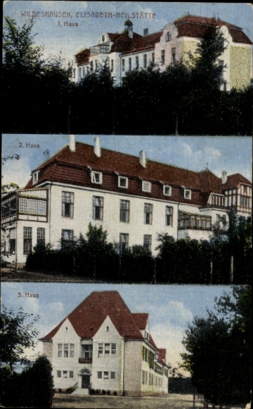 Postcard Wildeshausen in Oldenburg, three buildings of the Elisabeth-Heilstätte, houses 1-3, green landscape...
