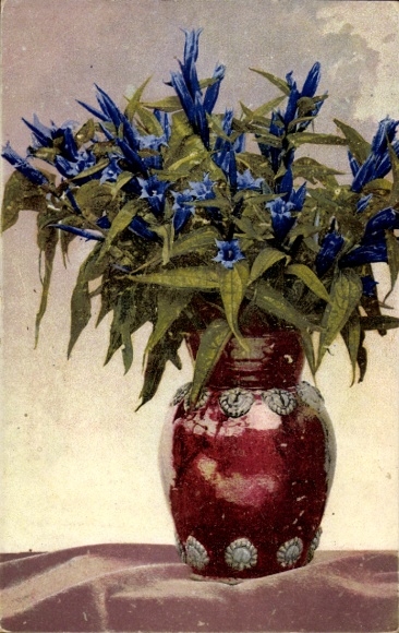 Postcard Photochromie, Nenke and Ostermaier Series 503 No. 724, Gentian in a red vase