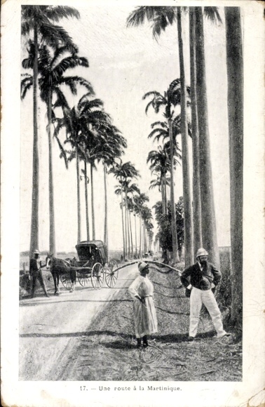Postcard Martinique, A Street, Carriage