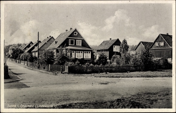 Postcard Tanne Oberharz am Brocken, street area, Lindenwarte 1
