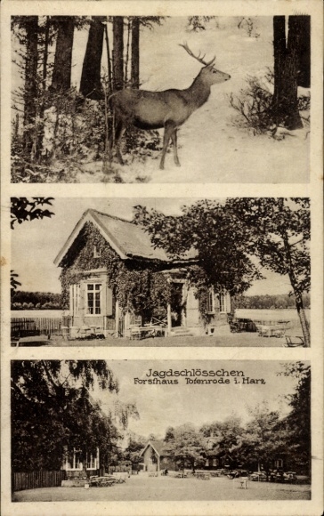 Postcard Blankenburg am Harz, Forsthaus Totenrode, hunting lodge, deer