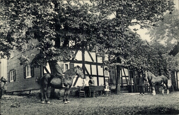 Postcard Hochwald Waldbröl in the Oberbergisches Land, Gasthof Mittler, horses