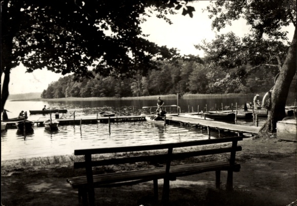Postcard Neuglobsow Stechlin Brandenburg, lake, boat rental, trees, bench, fisherman