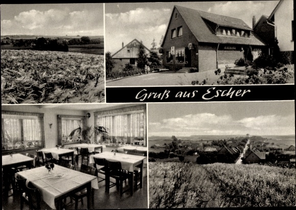 Ak Escher Auetal Niedersachsen, Landschaft, Gasthaus, Innenansicht, Tischdekoration