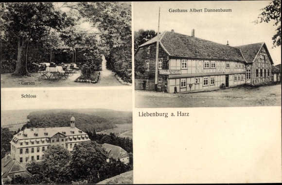 Postcard Liebenburg am Harz, Gasthaus Albert Dannenbaum, garden, castle