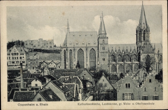 Ak Oppenheim am Oberrhein,  Katharinenkirche, Landskrone, Wein- und Obstbauschule