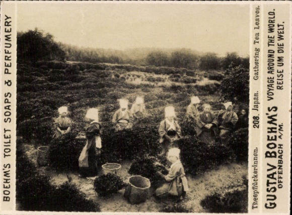 Photo Japan, tea pickers, advertising, Gustav Boehm's trip around the world, Boehm's toilet soaps