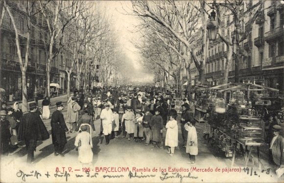 Ak Barcelona Cataluña España, Rambla de los Estudios