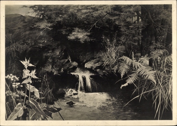 Artist Postcard Kriegel, Willy, The Source, HDK 397