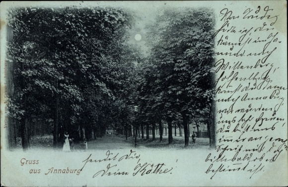 Moonlight PC Annaburg in Saxony Anhalt, Allee