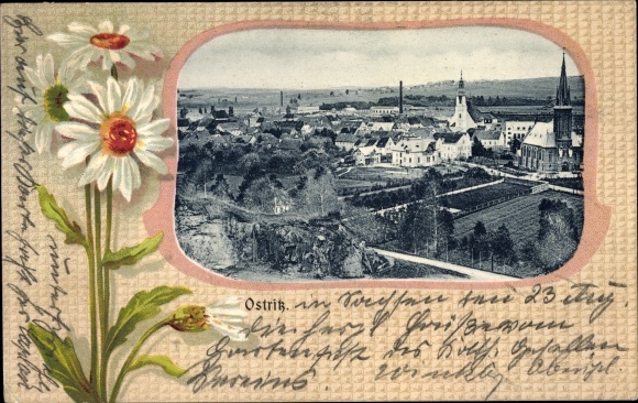 Passepartout Ak Ostritz in der Oberlausitz, Panorama von Stadt und Umgebung, Kirchen, Margerite