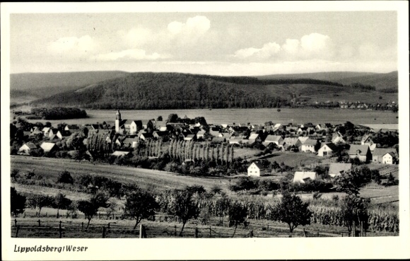 Ansichtkaart Lippoldsberg Bodenfelde in Nedersaksen, panorama