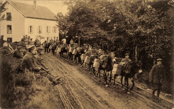 Postcard German mountain troops in the Vosges, mountain battery ammunition columns collect ammunition on donkeys