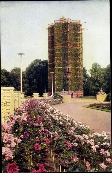 Ansichtkaart Dresden, tuinbouwtentoonstelling 1926, uitzicht over de rozentuin naar de groene kathedraal