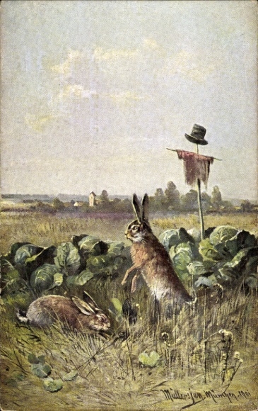 Artist Postcard Müller, jun., Rabbits on a field with lettuce heads, scarecrow