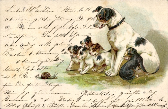 Chromo-Litho Terrier, four little puppies barking at a snail