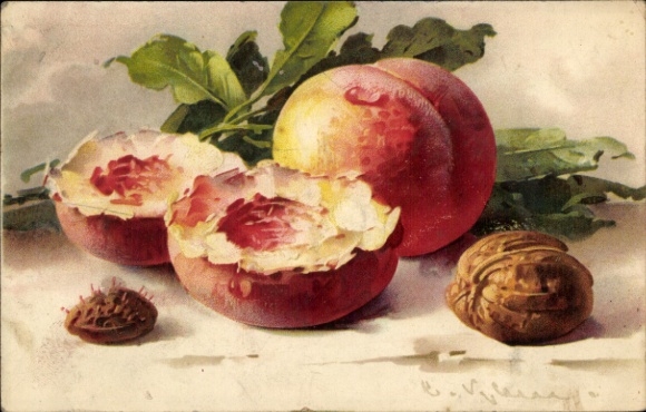 Artist Postcard Klein, Catharina, Still Life, Peaches, Walnut