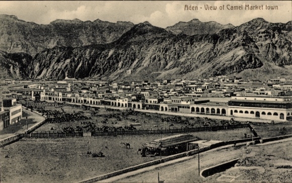 Postcard Aden Yemen, Panorama, View of the Camel Market City