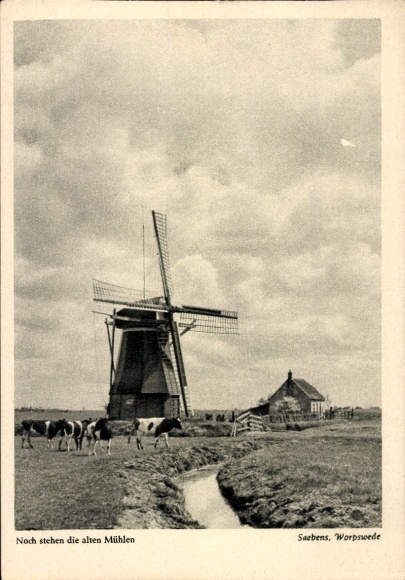 Postcard Worpswede in Lower Saxony, Saebens, windmill, cows