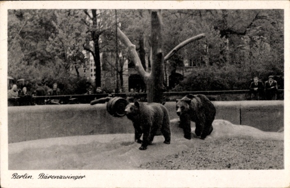 Ak Berlin Tiergarten, Zoologischer Garten, Bärenzwinger