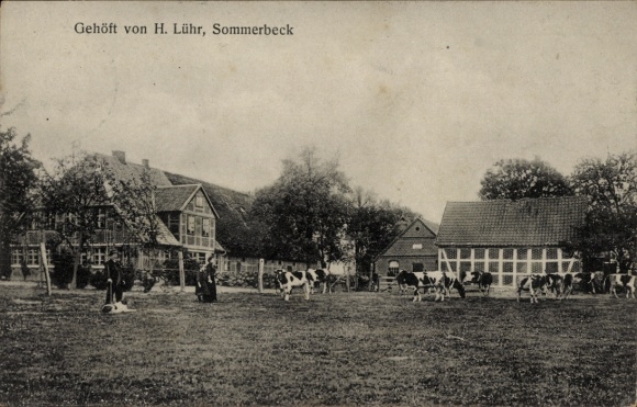 Ak Dahlenburg in de Lüneburger Heide, boerderij van H. Lühr