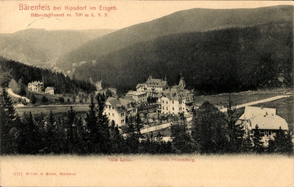 Postcard Bärenfels Altenberg near Kipsdorf in the Ore Mountains, Villa Lydia, Villa Felsenburg