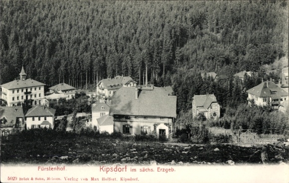 Ak Kipsdorf Altenberg im Erzgebirge, Teilansicht, Hotel Fürstenhof