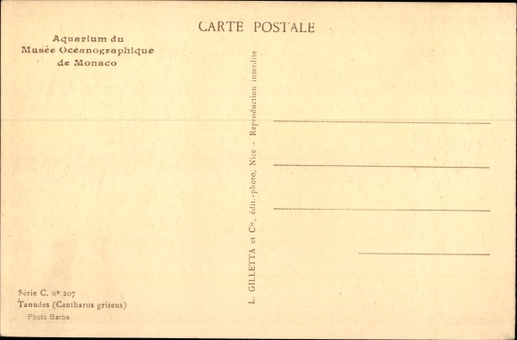 Postcard Monaco, Aquarium du Musee Oceanographique, Tanudes, Gray beetle