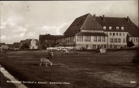 Postcard Norddorf auf Amrum Nordfriesland, Ambronen Haus, Schaf