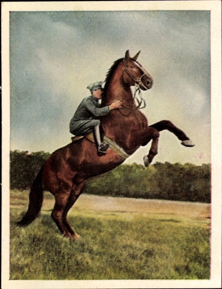 Sammelbild Auf deutscher Scholle, Hans v. d. Nordmark, Bild Nr. 89, Hohe Schule
