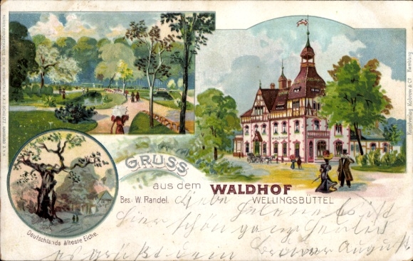 Litho Hamburg Wandsbek Wellingsbüttel, Waldhof Wellingsbüttel, Deutschlands älteste Eiche
