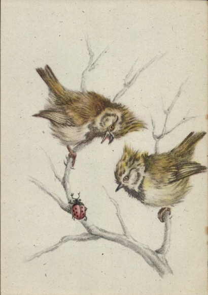 Artist Postcard Kapitzke, Gerhard, Young Crested Tits