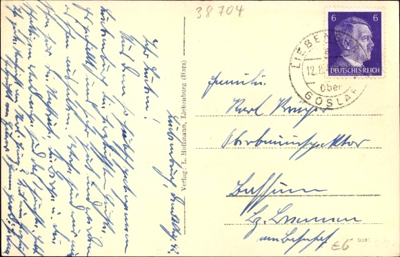 Postcard Liebenburg b. Braunlage Harz, villas