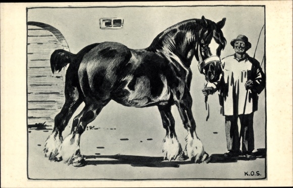 Artist PC Olshausen Schönberger, draft horse