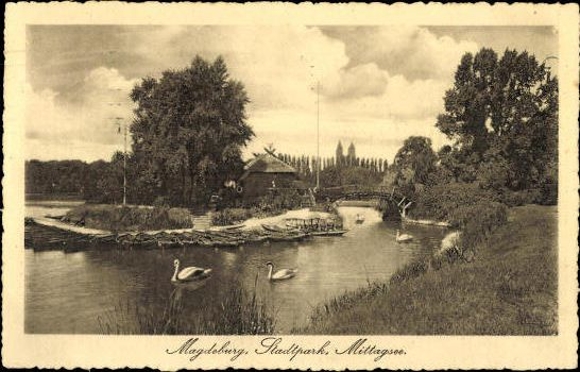 49 Ak Magdeburg Elbe, diverse Ansichten, kleinformatig