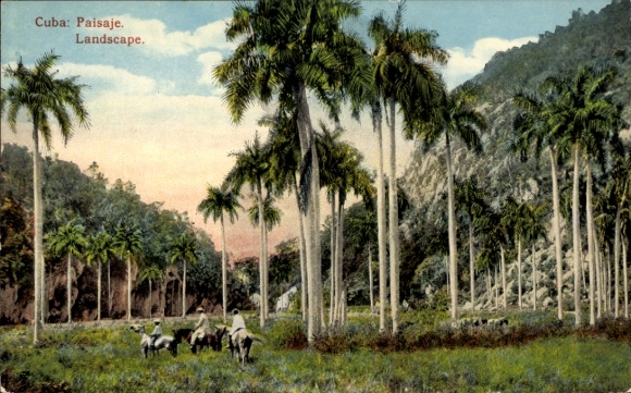 Postcard Cuba, Cuban Landscape