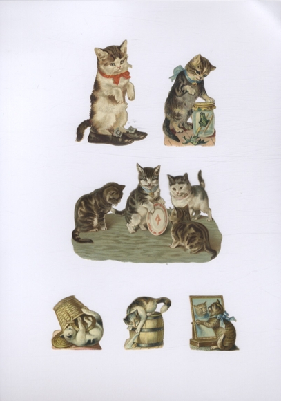6 wafli bawiących się kotów, ok. 7,5 x 11 cm do 4 x 3,5 cm
