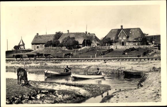 Ak Hallig Oland Nordfriesland, Teilansicht, Warft, Boote, Kuh