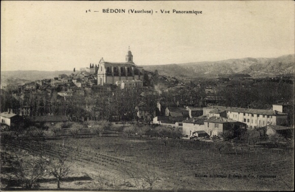 Ak Bedoin Vaucluse, Panorama