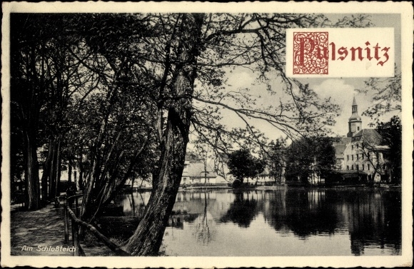 Postcard Pulsnitz Sachsen, party in the Schlossteich